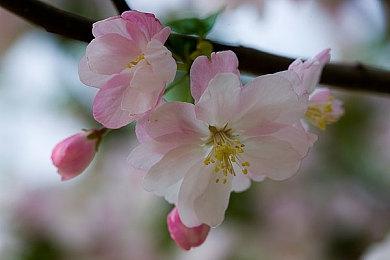 彭博社记者称《侠盗猎车手 6》延期传闻不实